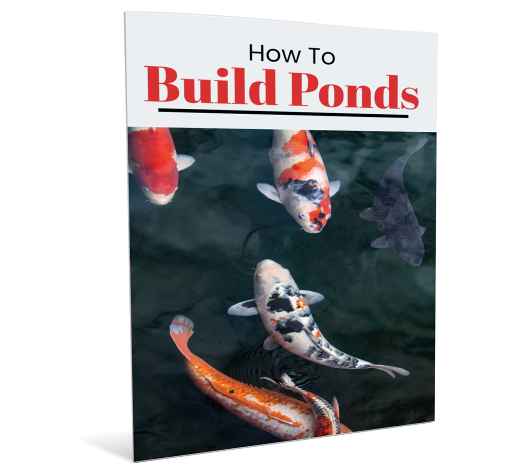 Pond Building Ideas Make your Pond PondTastic